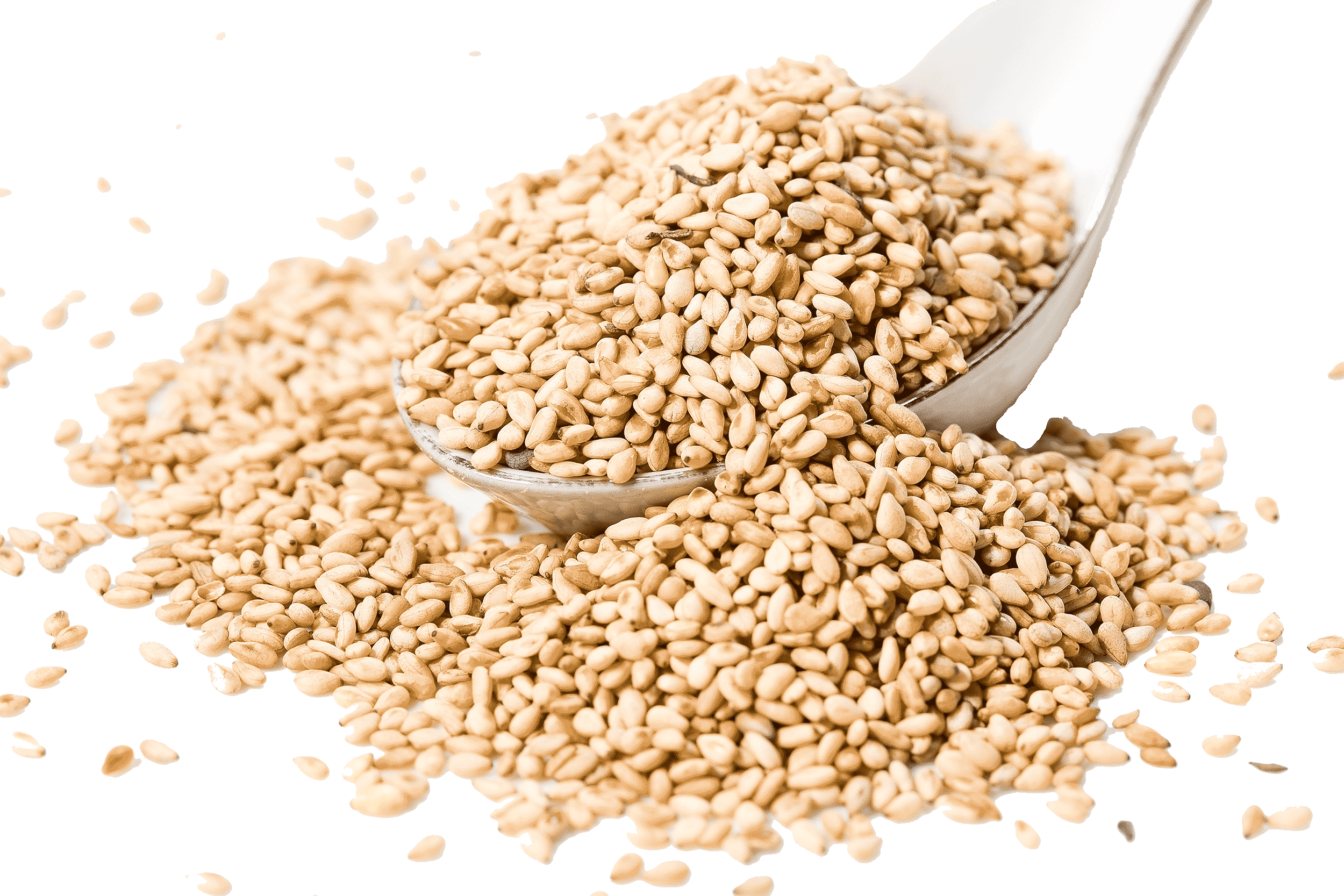 Sesame Seeds Natural