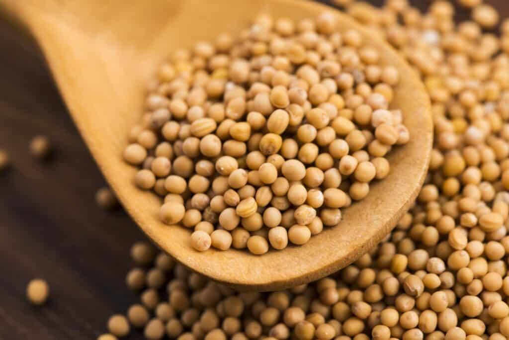 Yellow Mustard Seeds