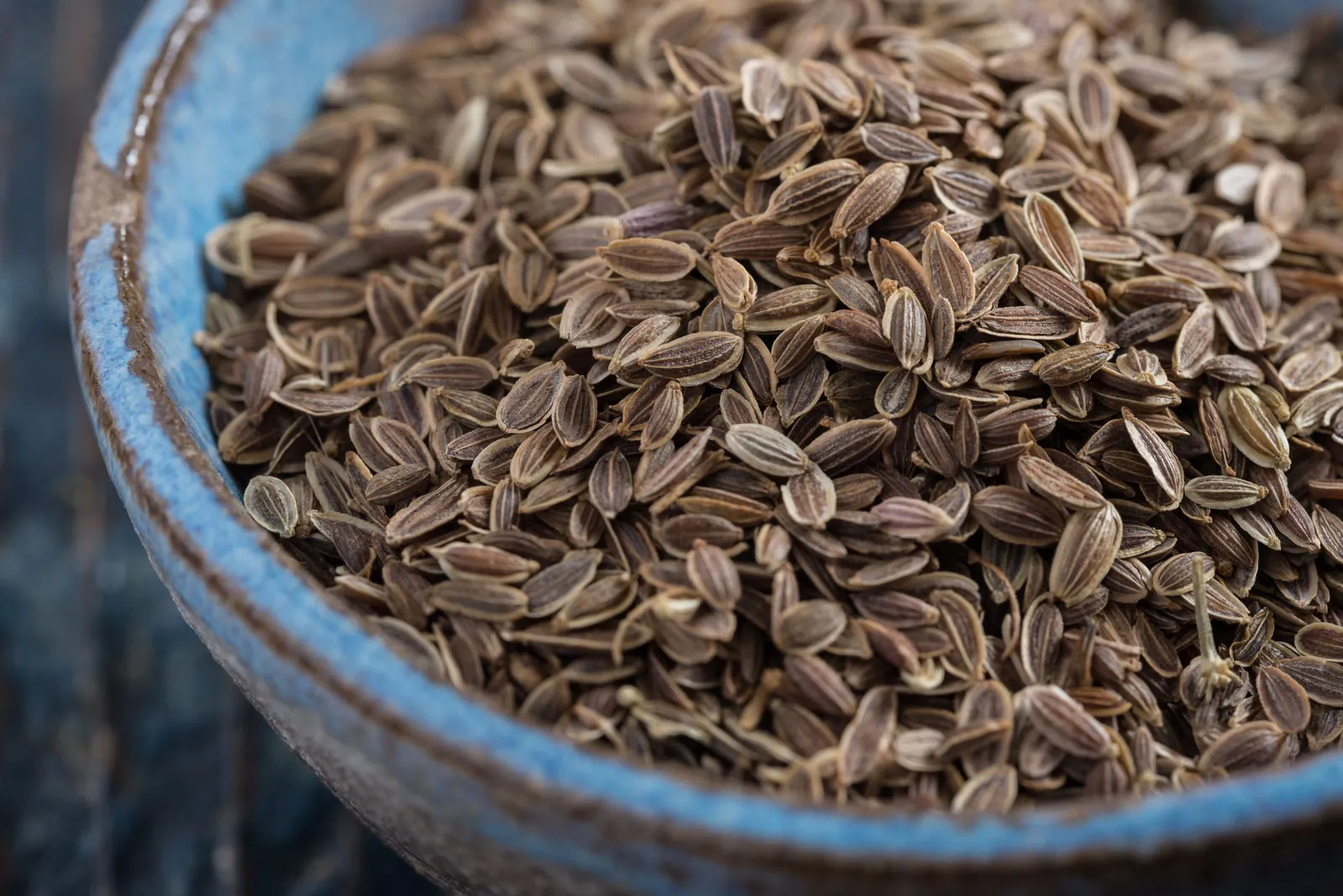 Dill Seeds
